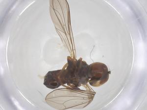  ( - BIOUG11388-C08)  @11 [ ] CreativeCommons - Attribution Share - Alike (2025) Centre for Biodiversity Genomics Centre for Biodiversity Genomics