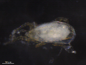  ( - BIOUG20128-B04)  @11 [ ] CreativeCommons - Attribution (2019) CBG Photography Group Centre for Biodiversity Genomics