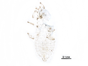  ( - BIOUG20151-E06)  @12 [ ] CreativeCommons - Attribution (2015) CBG Photography Group Centre for Biodiversity Genomics