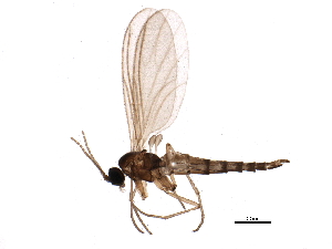  ( - BIOUG10635-H02)  @14 [ ] CreativeCommons - Attribution (2014) CBG Photography Group Centre for Biodiversity Genomics