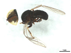  ( - BIOUG03142-D09)  @11 [ ] CreativeCommons - Attribution (2025) CBG Photography Group Centre for Biodiversity Genomics