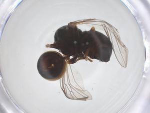  ( - BIOUG06459-D10)  @11 [ ] CreativeCommons - Attribution Share - Alike (2025) Centre for Biodiversity Genomics Centre for Biodiversity Genomics