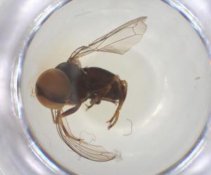  ( - BIOUG06262-A12)  @11 [ ] CreativeCommons - Attribution Share - Alike (2025) Centre for Biodiversity Genomics Centre for Biodiversity Genomics