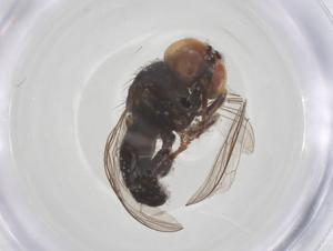  ( - BIOUG21106-D07)  @11 [ ] CreativeCommons - Attribution Share - Alike (2025) Centre for Biodiversity Genomics Centre for Biodiversity Genomics