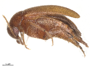  ( - BIOUG21694-G05)  @11 [ ] CreativeCommons - Attribution Share - Alike (2025) CBG Photography Group Centre for Biodiversity Genomics