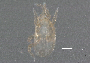  ( - BIOUG16790-C10)  @12 [ ] CreativeCommons - Attribution (2015) CBG Photography Group Centre for Biodiversity Genomics