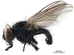  ( - BIOUG16879-E12)  @11 [ ] CreativeCommons - Attribution (2017) CBG Photography Group Centre for Biodiversity Genomics