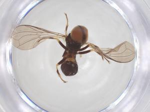  ( - BIOUG03558-E10)  @11 [ ] CreativeCommons - Attribution Share - Alike (2025) Centre for Biodiversity Genomics Centre for Biodiversity Genomics