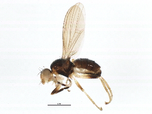  ( - BIOUG03715-G04)  @14 [ ] CreativeCommons - Attribution (2014) CBG Photography Group Centre for Biodiversity Genomics