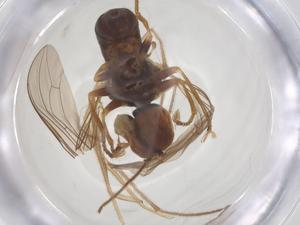  ( - BIOUG11839-G12)  @11 [ ] CreativeCommons - Attribution Share - Alike (2025) Centre for Biodiversity Genomics Centre for Biodiversity Genomics