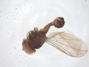  ( - BIOUG18139-C11)  @11 [ ] CreativeCommons - Attribution Share - Alike (2025) Centre for Biodiversity Genomics Centre for Biodiversity Genomics