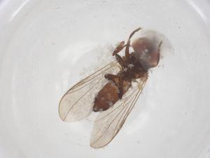  ( - BIOUG14282-E01)  @11 [ ] CreativeCommons - Attribution Share - Alike (2025) Centre for Biodiversity Genomics Centre for Biodiversity Genomics