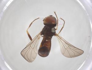  ( - BIOUG12213-C05)  @11 [ ] CreativeCommons - Attribution Share - Alike (2025) Centre for Biodiversity Genomics Centre for Biodiversity Genomics