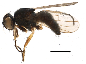  ( - BIOUG12360-B04)  @14 [ ] CreativeCommons - Attribution (2014) CBG Photography Group Centre for Biodiversity Genomics