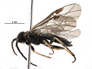  ( - BIOUG13903-B04)  @12 [ ] CreativeCommons - Attribution (2016) CBG Photography Group Centre for Biodiversity Genomics