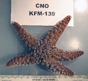  ( - OGL-E01727)  @11 [ ] No Rights Reserved (2009) Coastal Marine Biolabs Coastal Marine Biolabs