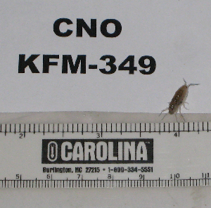 ( - KFM-349)  @11 [ ] No Rights Reserved  Unspecified Unspecified
