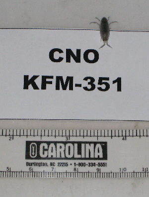  ( - KFM-351)  @11 [ ] No Rights Reserved  Unspecified Unspecified