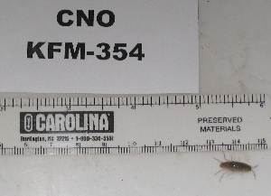  ( - KFM-354)  @11 [ ] No Rights Reserved  Unspecified Unspecified