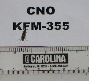  ( - KFM-355)  @11 [ ] No Rights Reserved  Unspecified Unspecified