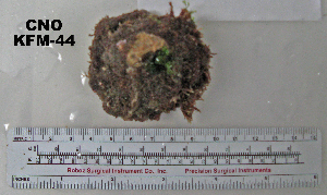  ( - OGL-E01571)  @11 [ ] No Rights Reserved (2009) Coastal Marine Biolabs Coastal Marine Biolabs