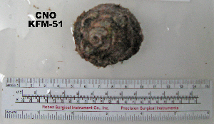  ( - OGL-E01578)  @11 [ ] No Rights Reserved (2009) Coastal Marine Biolabs Coastal Marine Biolabs