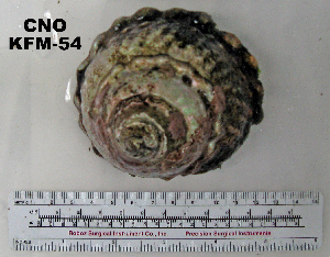  ( - OGL-E01581)  @11 [ ] No Rights Reserved (2009) Coastal Marine Biolabs Coastal Marine Biolabs