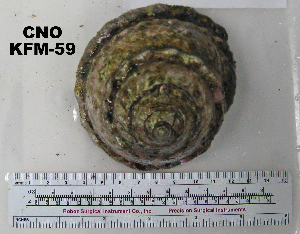  ( - OGL-E01586)  @11 [ ] No Rights Reserved (2009) Coastal Marine Biolabs Coastal Marine Biolabs