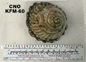  ( - OGL-E01587)  @11 [ ] No Rights Reserved (2009) Coastal Marine Biolabs Coastal Marine Biolabs
