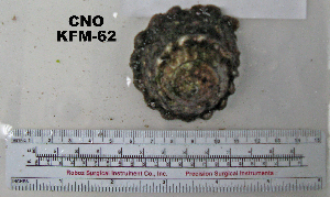  ( - OGL-E01589)  @11 [ ] No Rights Reserved (2009) Coastal Marine Biolabs Coastal Marine Biolabs