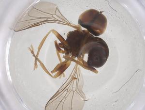  ( - BIOUG10366-G05)  @11 [ ] CreativeCommons - Attribution Share - Alike (2025) Centre for Biodiversity Genomics Centre for Biodiversity Genomics