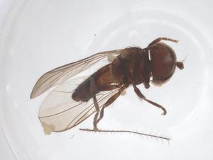  ( - BIOUG10495-B01)  @11 [ ] CreativeCommons - Attribution Share - Alike (2025) Centre for Biodiversity Genomics Centre for Biodiversity Genomics