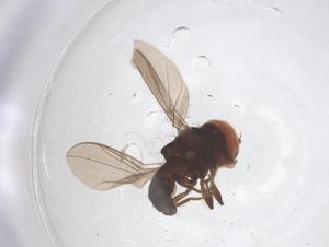  ( - BIOUG03666-A12)  @11 [ ] CreativeCommons - Attribution Share - Alike (2025) Centre for Biodiversity Genomics Centre for Biodiversity Genomics