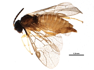  ( - BIOUG08483-D10)  @13 [ ] CreativeCommons - Attribution (2015) CBG Photography Group Centre for Biodiversity Genomics