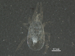  ( - BIOUG20001-C02)  @12 [ ] CreativeCommons - Attribution (2015) CBG Photography Group Centre for Biodiversity Genomics