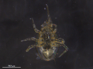 ( - BIOUG20001-E07)  @11 [ ] CreativeCommons - Attribution (2019) CBG Photography Group Centre for Biodiversity Genomics