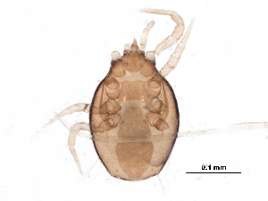  ( - BIOUG19510-H05)  @12 [ ] CreativeCommons - Attribution (2015) CBG Photography Group Centre for Biodiversity Genomics