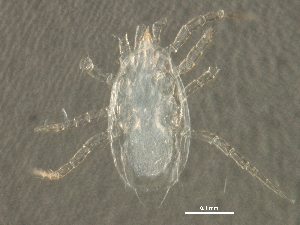  ( - BIOUG06962-F05)  @12 [ ] CreativeCommons - Attribution (2014) CBG Photography Group Centre for Biodiversity Genomics