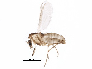  ( - BIOUG21732-D02)  @14 [ ] CreativeCommons - Attribution (2015) CBG Photography Group Centre for Biodiversity Genomics