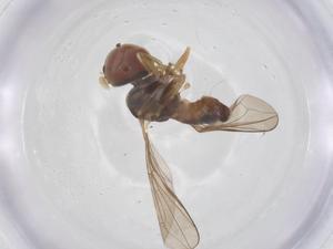  ( - BIOUG21206-G08)  @11 [ ] CreativeCommons - Attribution Share - Alike (2025) Centre for Biodiversity Genomics Centre for Biodiversity Genomics