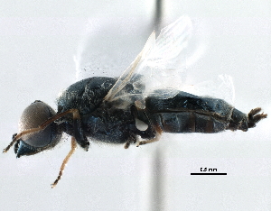  ( - BIOUG18158-A04)  @14 [ ] CreativeCommons - Attribution (2015) CBG Photography Group Centre for Biodiversity Genomics
