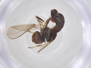  ( - BIOUG03378-B07)  @11 [ ] CreativeCommons - Attribution Share - Alike (2025) Centre for Biodiversity Genomics Centre for Biodiversity Genomics