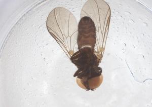  ( - BIOUG19051-D07)  @11 [ ] CreativeCommons - Attribution Share - Alike (2025) Centre for Biodiversity Genomics Centre for Biodiversity Genomics