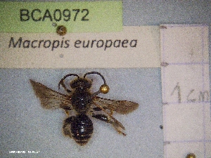  ( - BCA0972)  @11 [ ] CC-BY-NC (2022) INRAE INRAE