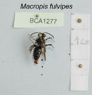  ( - BCA1277)  @11 [ ] CC-BY-NC (2022) INRAE INRAE