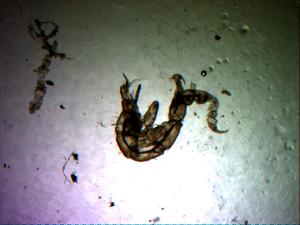  ( - UNMDP-I 019)  @12 [ ] Unspecified (default): All Rights Reserved  Unspecified Unspecified