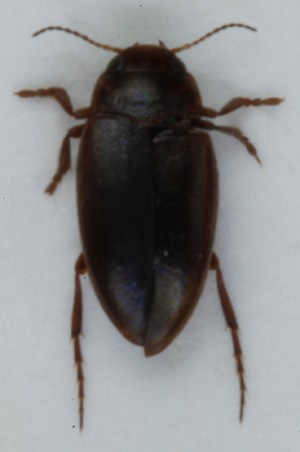  ( - ZMUO.004500)  @12 [ ] CreativeCommons - Attribution Non-Commercial (2012) Marko Mutanen University of Oulu