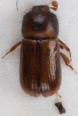  ( - ZMUO.016300)  @12 [ ] CreativeCommons - Attribution Non-Commercial (2014) Marko Mutanen University of Oulu