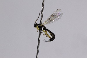 ( - CollHH2544)  @11 [ ] Creative Commons  Attribution Non-Commercial Share-Alike (2019) Hakon Haraldseide Unspecified
