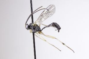  ( - CollHH4183)  @11 [ ] Creative Commons  Attribution Non-Commercial Share-Alike (2025) Hakon Haraldseide Unspecified